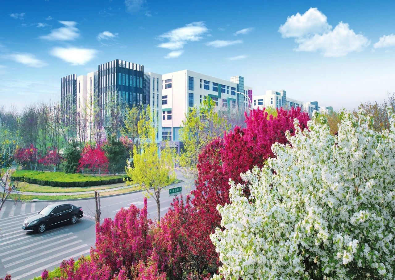 颜值UP↑ 武清开发区又双叒叕“靓”了!(图13) 颜值UP↑ 武清开发区又双叒叕“靓”了!(图13)