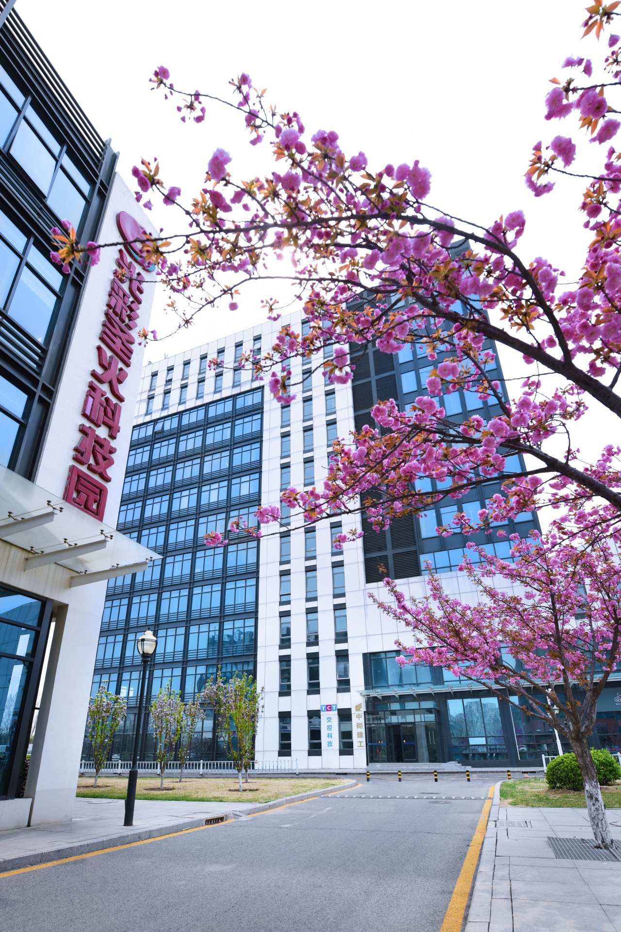 颜值UP↑ 武清开发区又双叒叕“靓”了!(图17) 颜值UP↑ 武清开发区又双叒叕“靓”了!(图17)