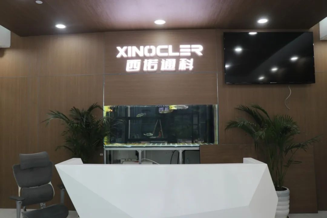 北京→武清,落地“生”花!(图3) 北京→武清,落地“生”花!(图3)