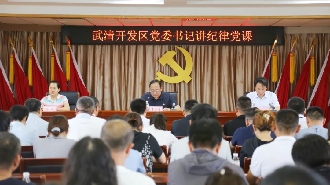 武清开发区党委举办庆祝“七一”主题党日活动(图11)