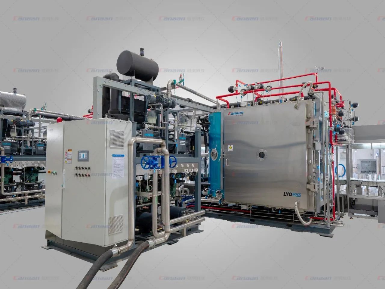 总投资2.4亿元！正式投用！(图2)