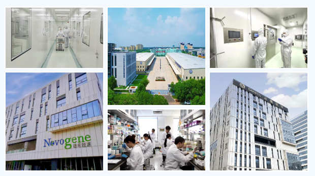 重磅!武清开发区签署京津冀合成生物制造产业协同发展伙伴园区合作计划(图3) 重磅!武清开发区签署京津冀合成生物制造产业协同发展伙伴园区合作计划(图3)