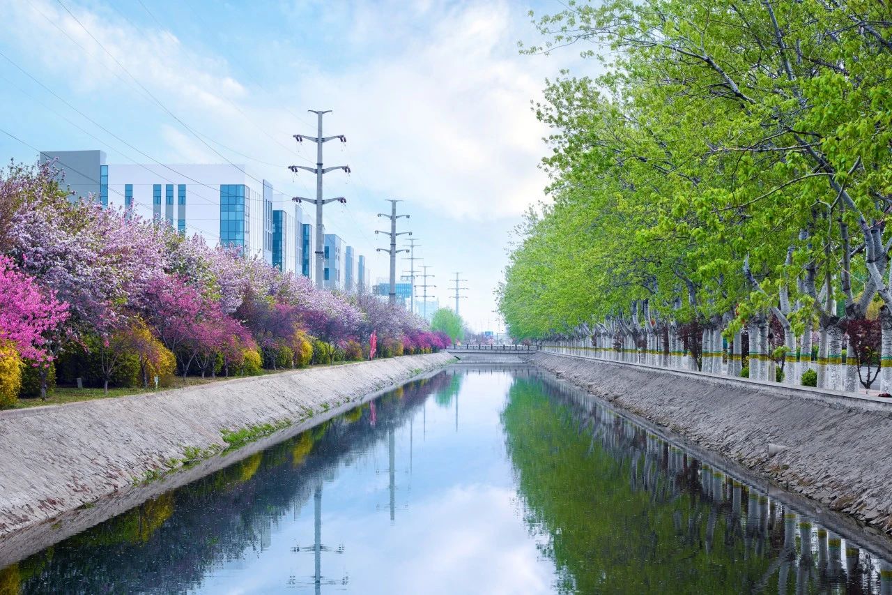 营商环境再加分！武清开发区持续推进城市更新(图8)