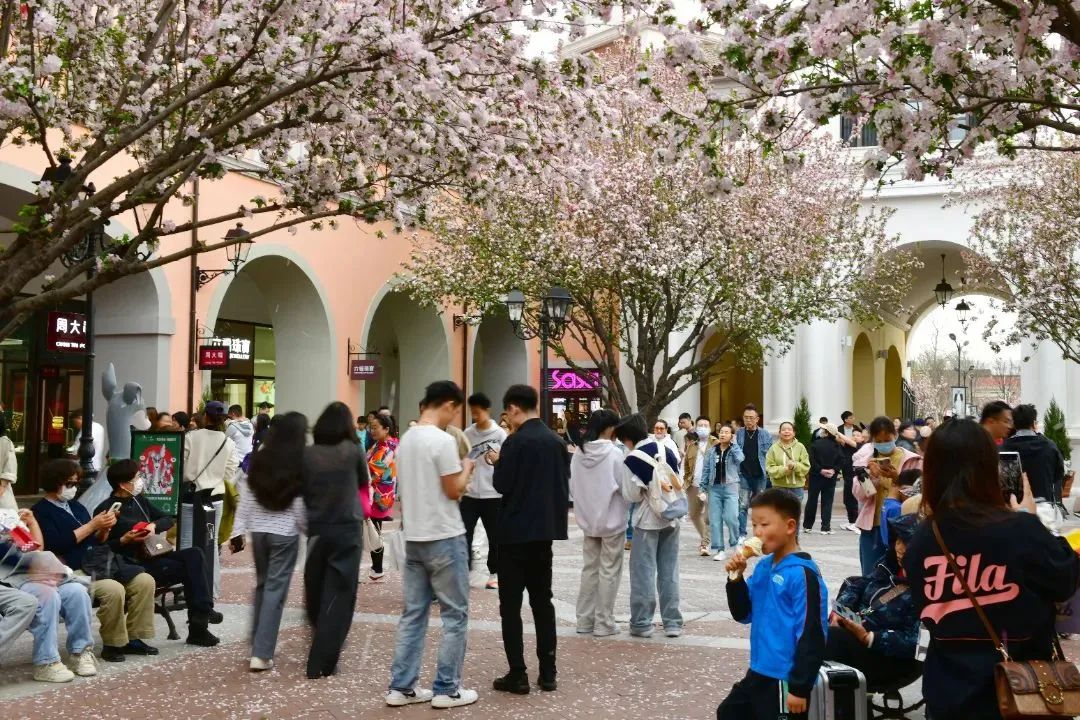 30万+！超1亿元！(图2)