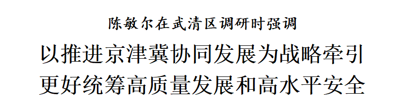 陈敏尔在武清区调研时强调:以推进京津冀协同发展为战略牵引,更好统筹高质量发展和高水平安全(图1)