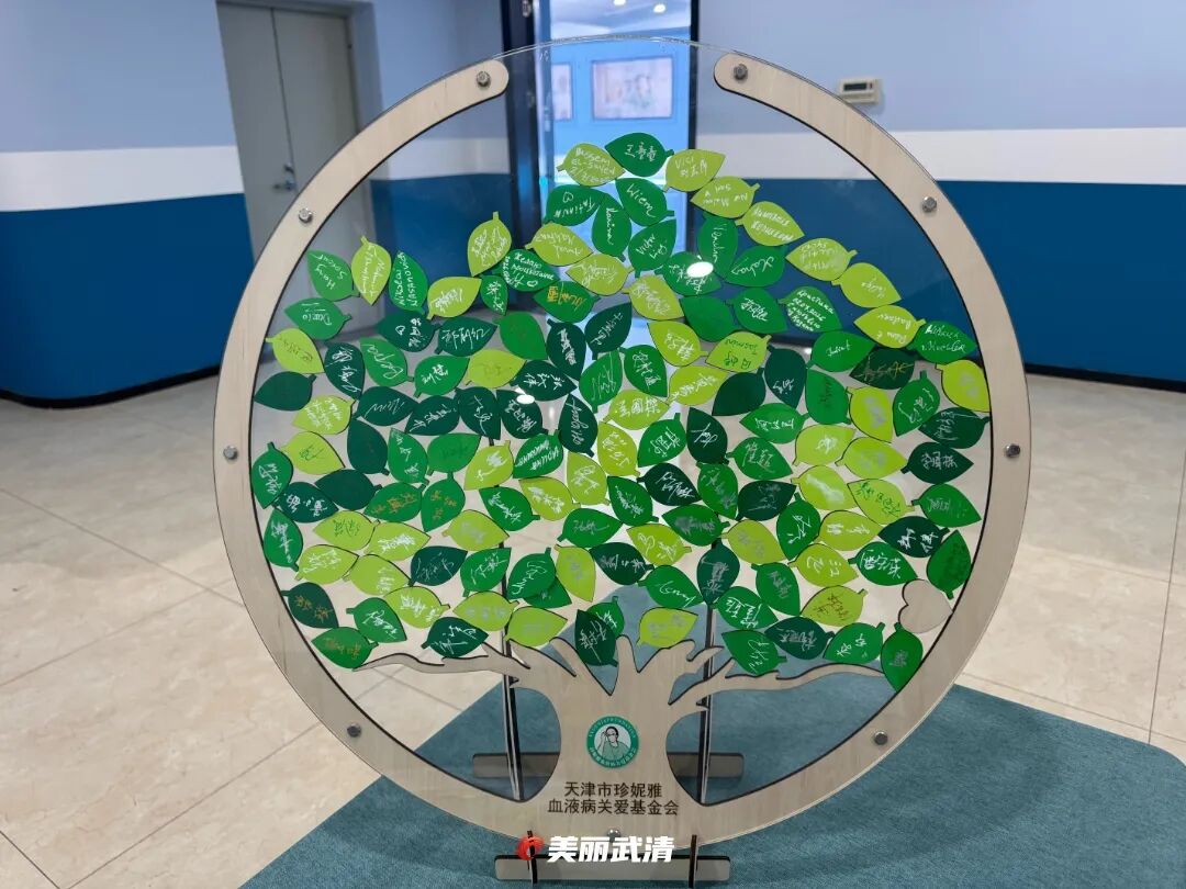一场跨越八国的生命之约！(图9)