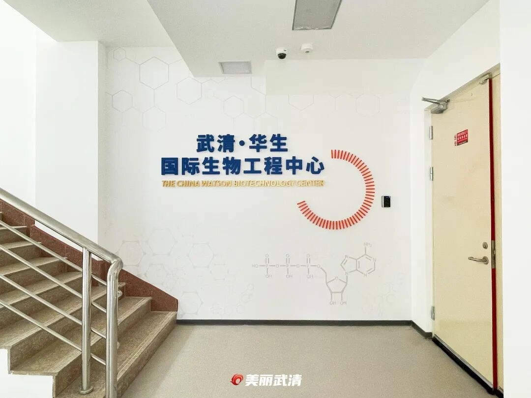 “上下楼就是上下游”，武清老厂房里焕发新“生”机(图3)