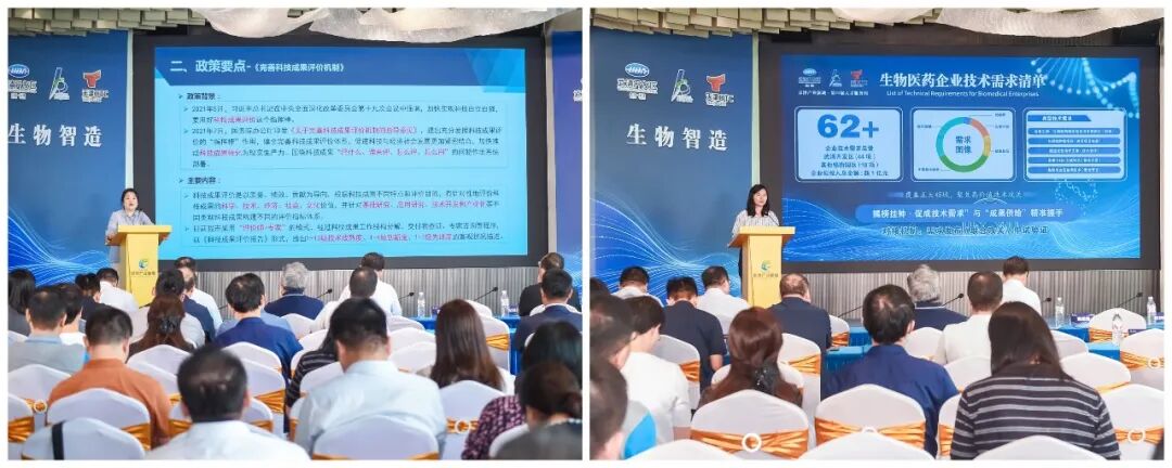 4个项目落户园区!武清区生物医药产业投融资对接会圆满举办(图2)