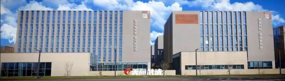 共赴“上合之约”,武清企业抱团出海拓市(图3)